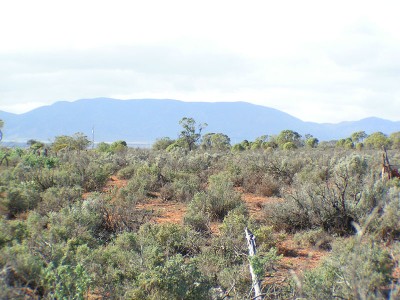 294 ACRES OF RURAL RETREAT Picture