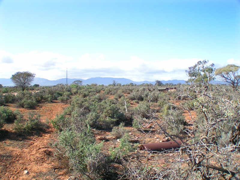 294 ACRES OF RURAL RETREAT Picture 2