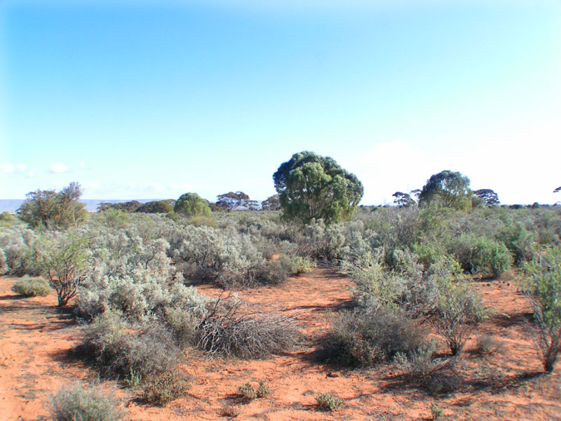 294 ACRES OF RURAL RETREAT Picture 3