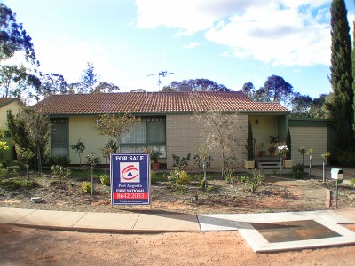 RUN TO PARADISE Picture