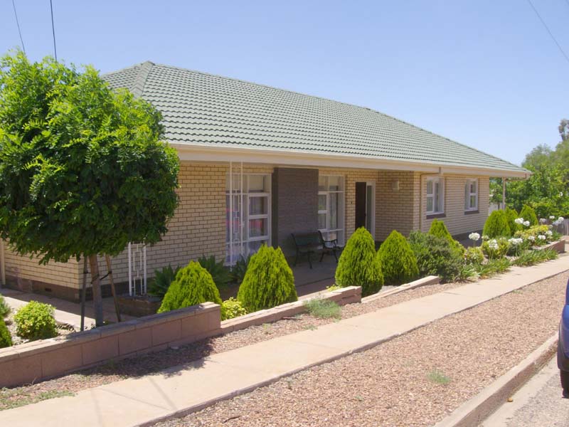 What a Stunner Picture 1