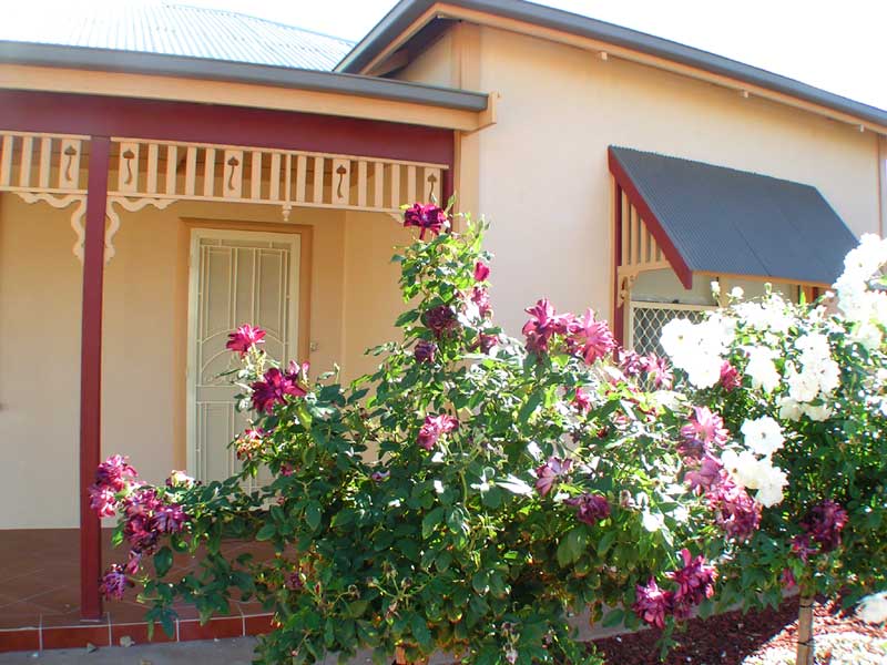 IT'S SPECIAL Picture 2