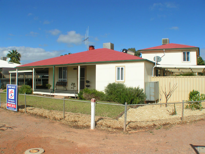 One of the finest Picture 1