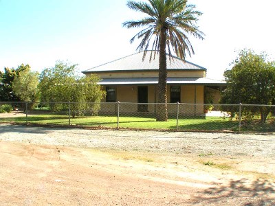 WHAT A BEAUTY Picture