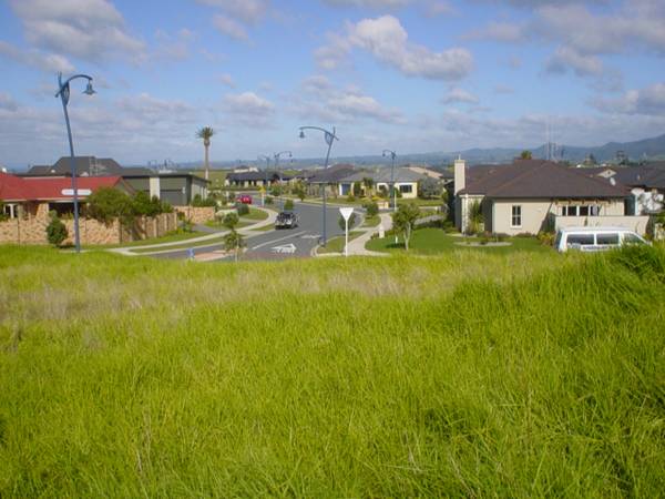 SEA & HILL VIEWS Picture 3