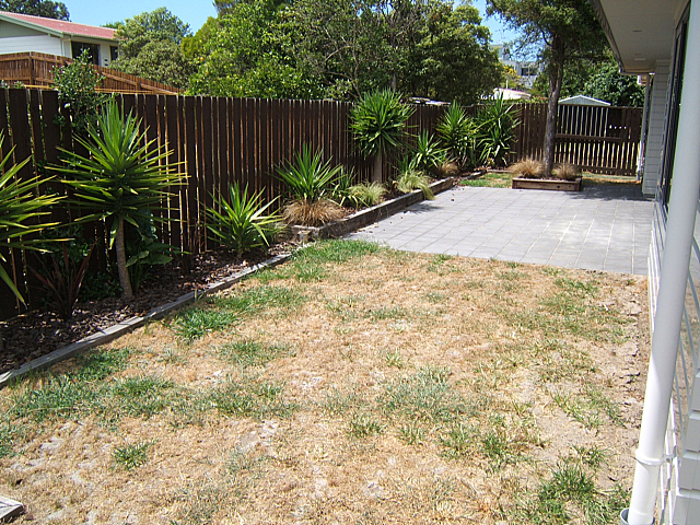 Brand New & Sparkling Picture 1