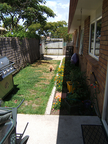 Brick Beauty Picture 1