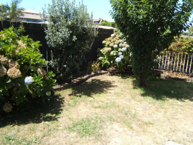 Just So Handy Picture 3