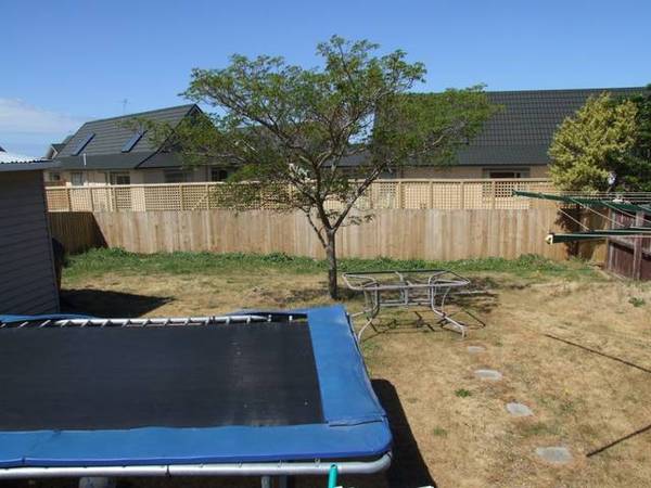 Cheep Cheep Cheep Picture 3