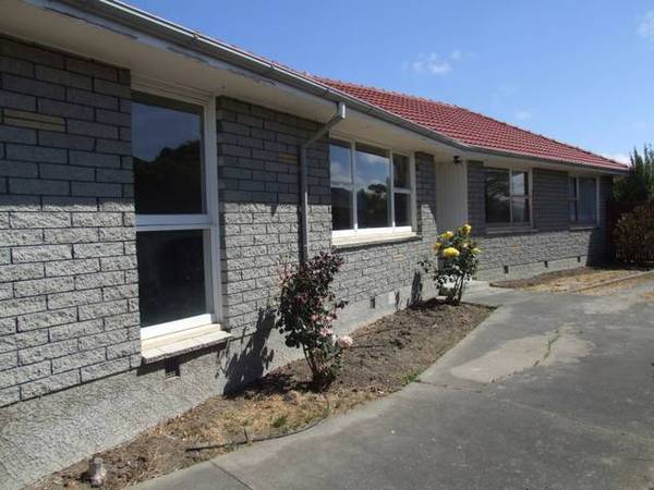 Cheep Cheep Cheep Picture 2