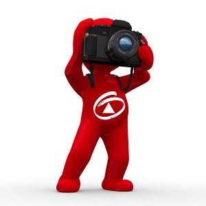 Sunny Renovated Family Home Picture Sunny Renovated Family Home Picture