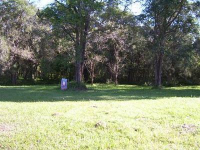 EXCLUSIVE!!
Rural atmosphere Picture