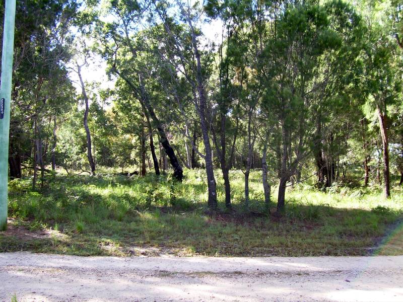 EXCLUSIVE!!
LARGE HOMESITE Picture 1