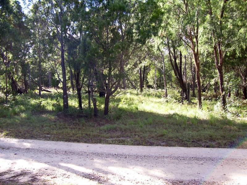 EXCLUSIVE!!
LARGE HOMESITE Picture 2