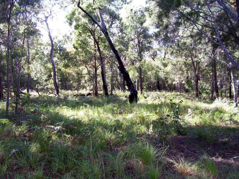 EXCLUSIVE!!
LARGE HOMESITE Picture 3