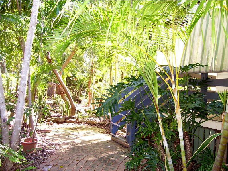 WALK TO JETTY Picture 2