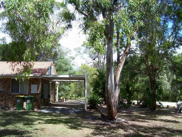 BUSHLAND SETTING Picture BUSHLAND SETTING Picture