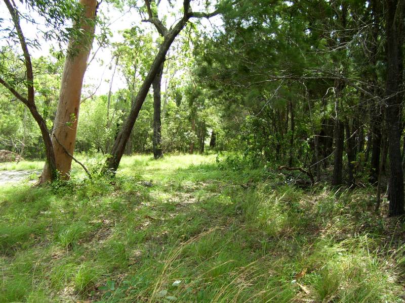 1/4 ACRE GEM Picture 2