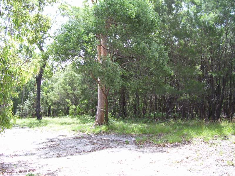 1/4 ACRE GEM Picture 1