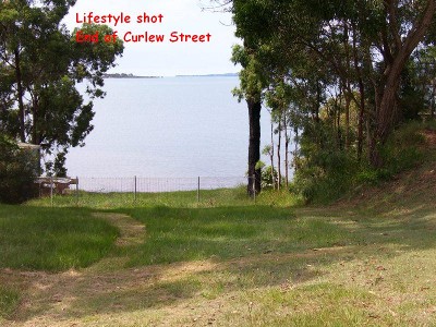 CHECK OUT THE REST - THEN BUY THE BEST Picture CHECK OUT THE REST - THEN BUY THE BEST Picture