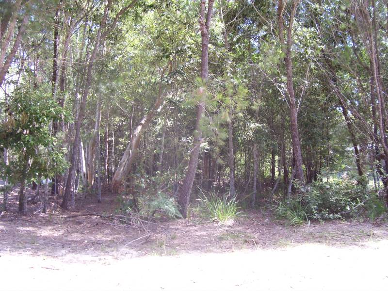 WAITING FOR INSPIRATION Picture 2