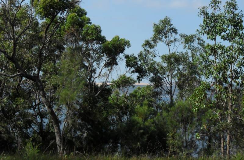 WATER VIEWS Picture 3