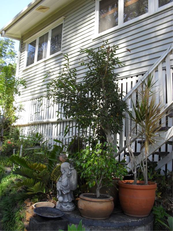 Champaigne tastes- Beer Budget Picture 2