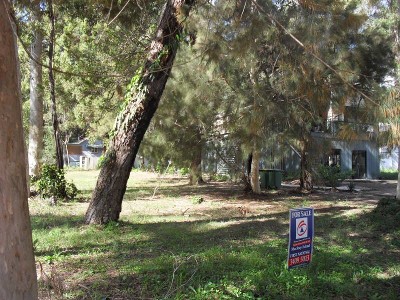 WATER GLIMPSES Picture WATER GLIMPSES Picture