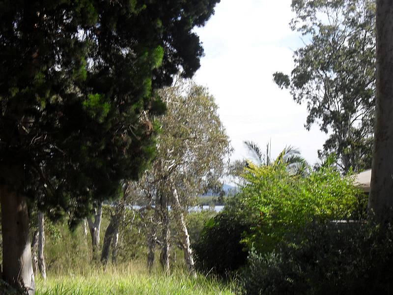 WATER GLIMPSES Picture 2