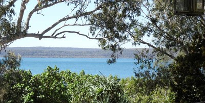 GOLDEN SUNRISES Picture