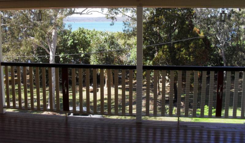 GOLDEN SUNRISES Picture 2