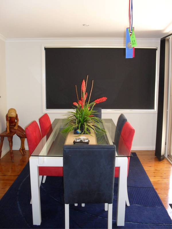 GOLDEN SUNRISES Picture 3