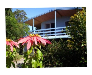 BREEZES AND BAY VIEWS Picture