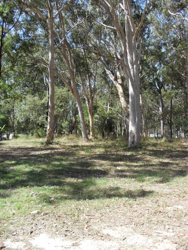 SMALL PRICE - 4br assessment Picture 2