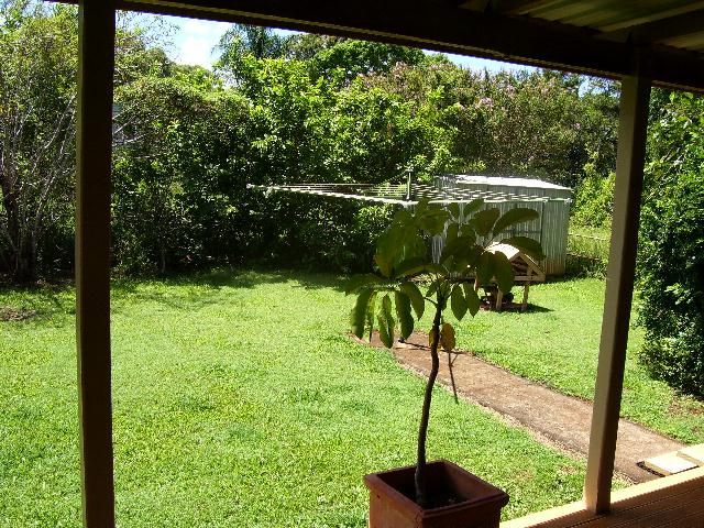 LAMB ISLAND LIVING Picture 2