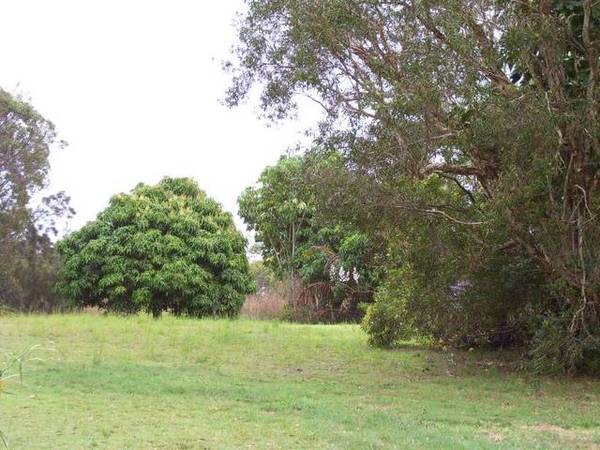 WATER VIEWS FROM A HIGH SET Picture 2