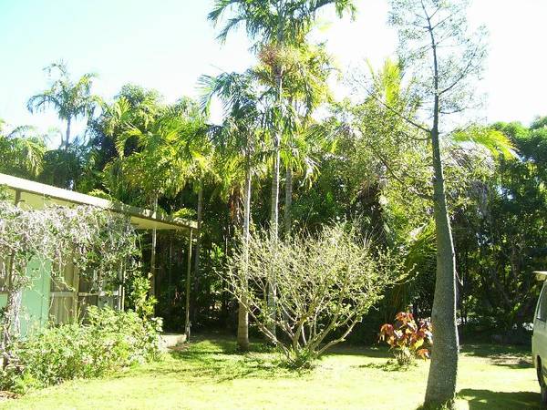 GREAT CENTRALLY LOCATED Picture 3