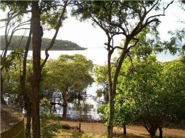 ABSOLUTE WATERFRONT Picture 1