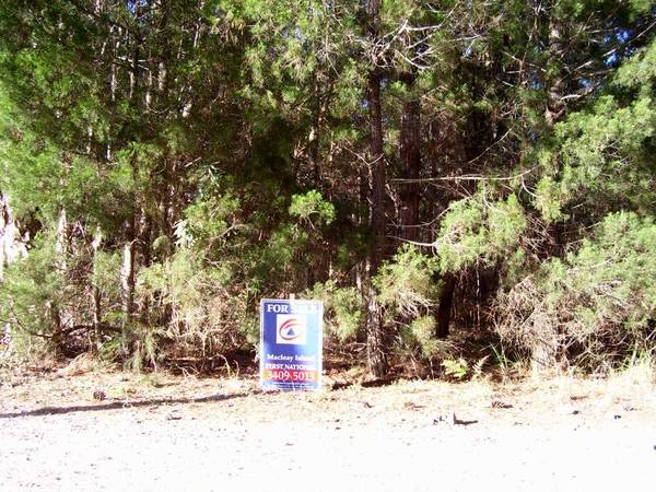 CAN'T SEE THE FOREST FOR THE TREES!!! Picture 1