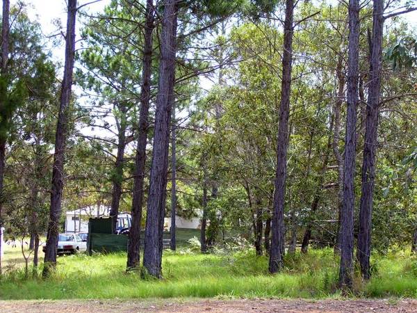 EXCLUSIVE!!
Central Location Picture 1