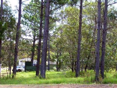 EXCLUSIVE!!
Central Location Picture