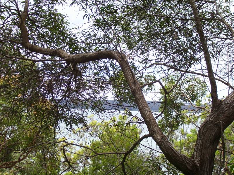 EXCLUSIVE!!
Water views Picture 3