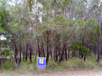 EXCLUSIVE!! Next best thing to the Ponderosa Picture