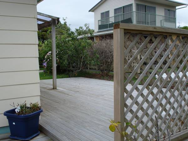 Delightful Picture 2