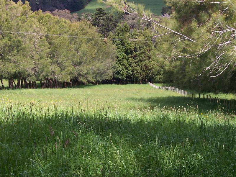 Lifestyle on Landlyst Picture 2