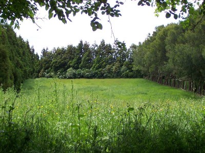 Lifestyle on Landlyst Picture Lifestyle on Landlyst Picture