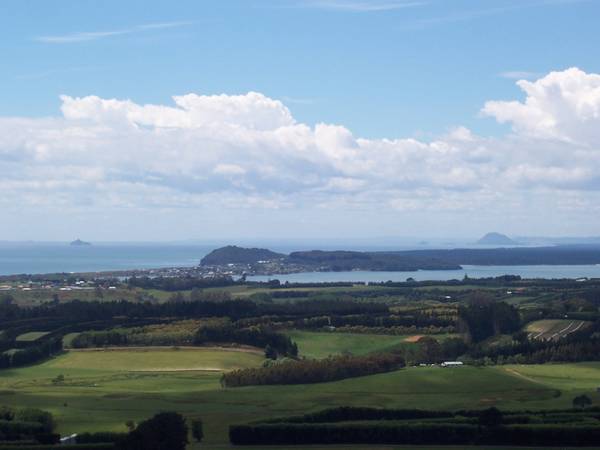 Lifestyle with Views Picture 3