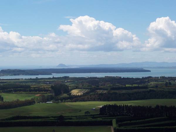 Lifestyle with Views Picture 2