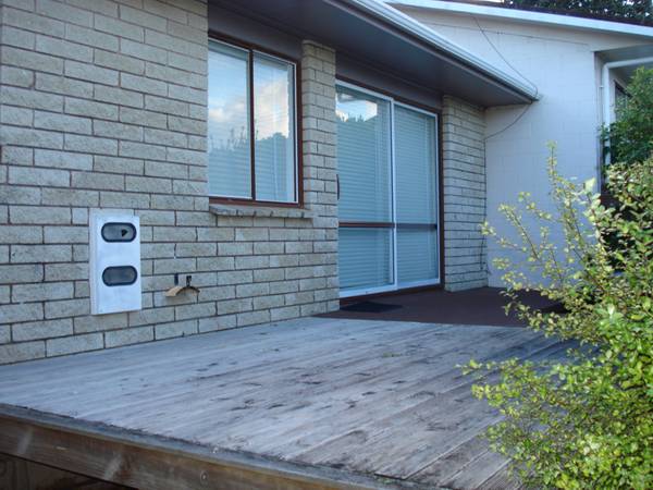 Very Realistic Vendor Picture 1