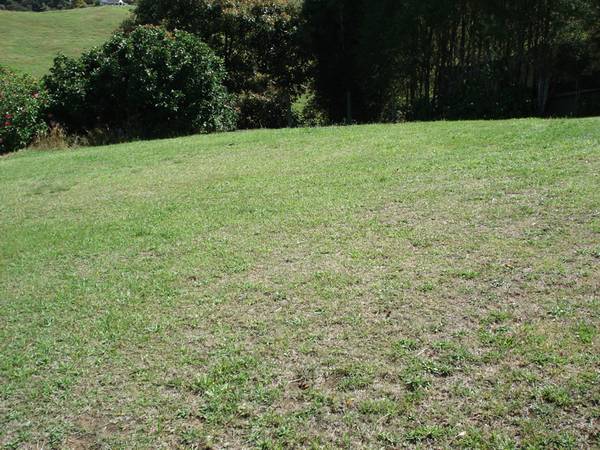 Enjoy the Privacy Picture 2